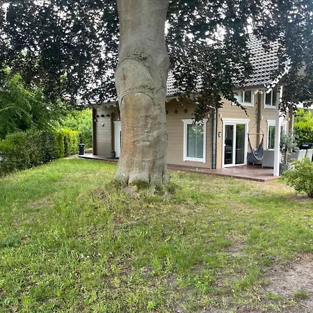 Tiny House Rotbuche